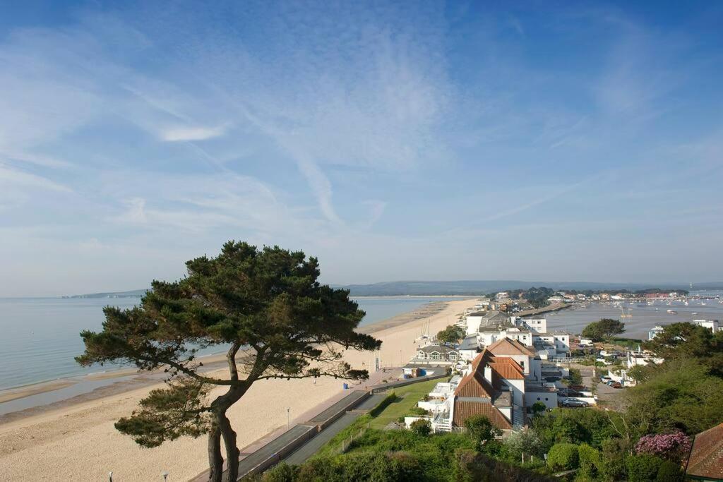 Bournecoast: Lovely Annex With Patio Nr Beach-5286 Bournemouth Eksteriør billede